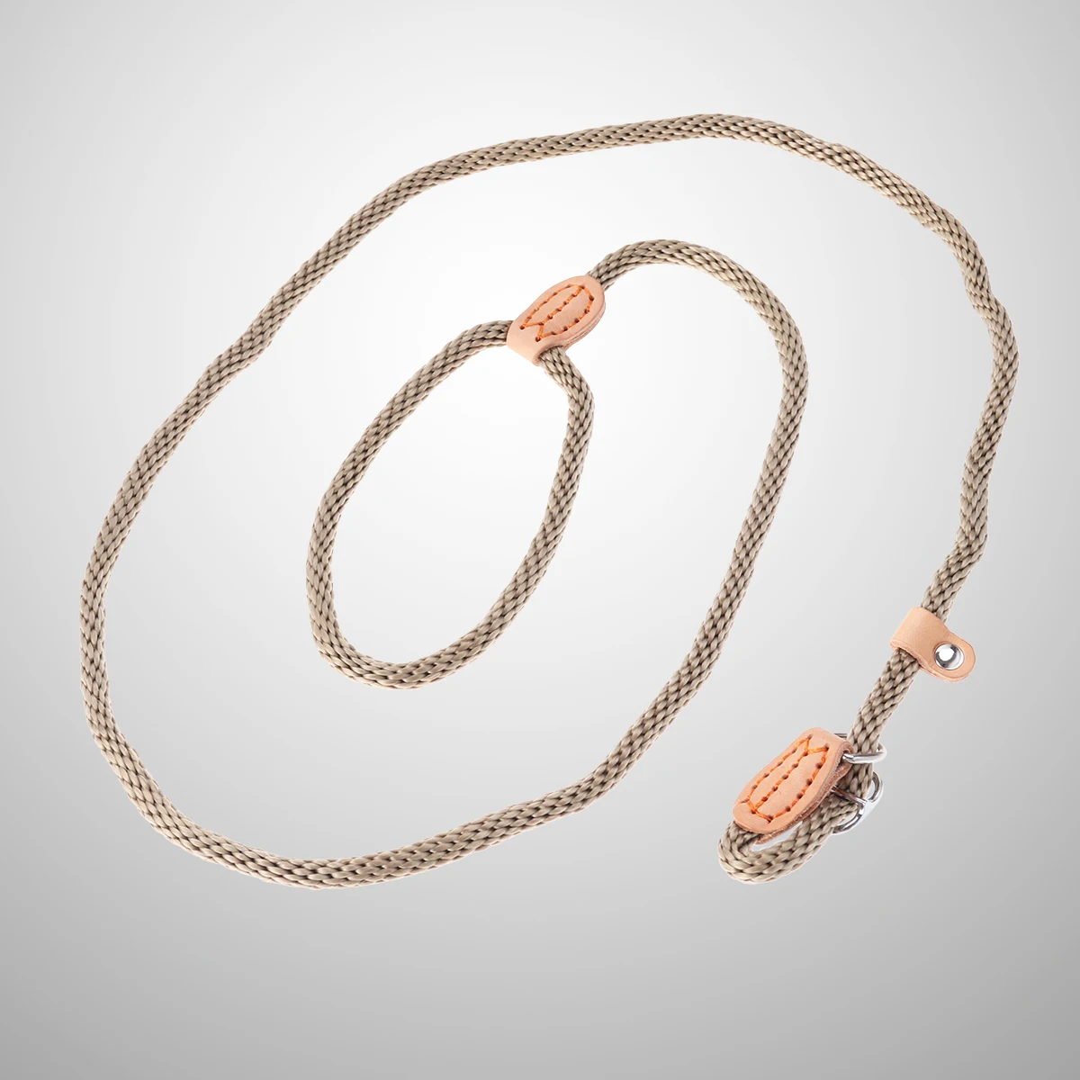 

Nylon Dog Training Leash Collar Lead Rope Sturdy Heavy Duty Metal Buckle Adjustable Neck Perimeter for Medium Large Dogs Beige