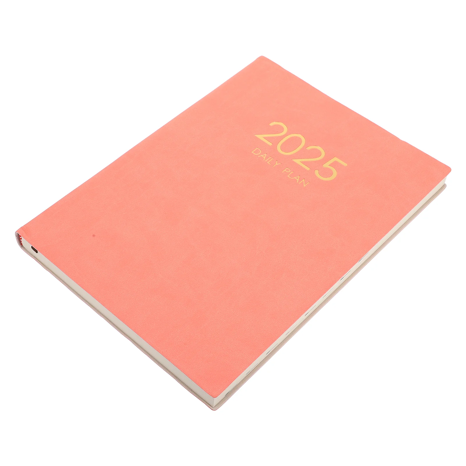 2025 Dated Journal Notebook Schedule Diary Planner Agenda Planning Paper Snake Year