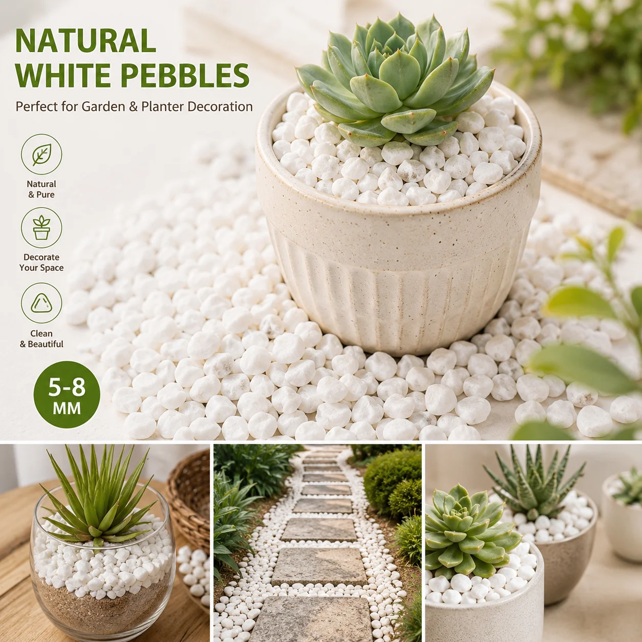 Aquarium Sand White - أحجار زخرفية بيضاء 100/200 جرام لأحواض