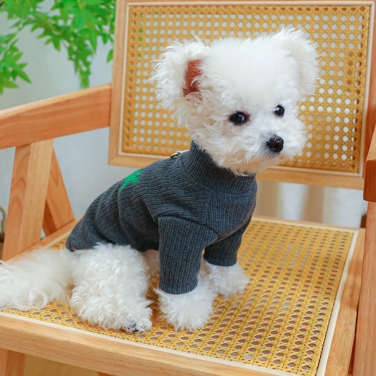 1PC Pet Apparel Cat Autumn/Winter Pullover Warm Dark Grey Rock Home Clothes Pjamas With Drawstring Buckle For Small Medium Dogs