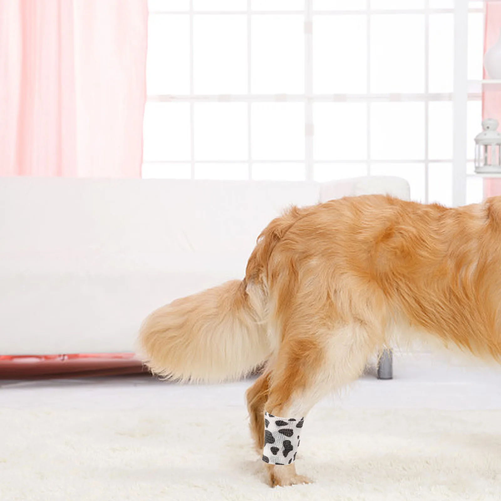 

6 Rolls Pet Dirt Resistant Self Adhesive Bandage Wrap Breathable Vet Wrap for Dog Aid Protection Vet Tape