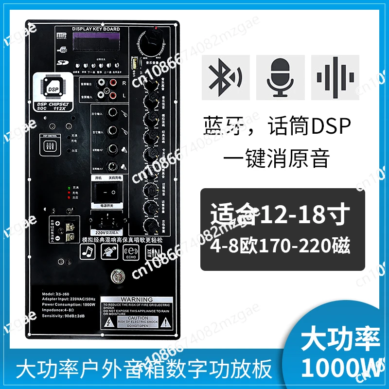 12V High Power DSP Bluetooth Amplifier Board for Outdoor Use with 220V Charging and Sound Cancellation
