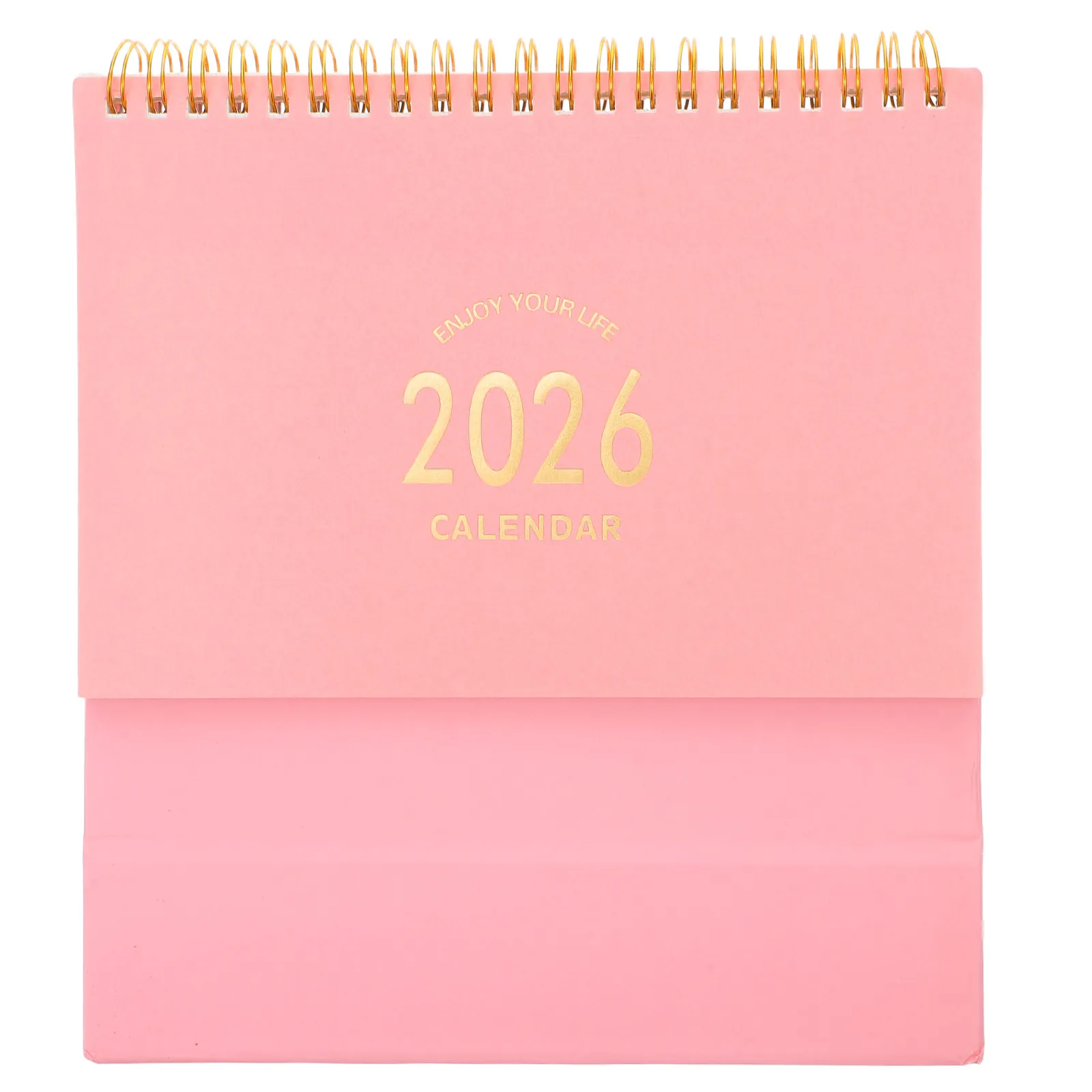 

Настольный календарь-ежедневник 2025-2026 с откидными страницами, ежемесячный планировщик, плотная бумага, для дома и офиса, органайзер для расписания