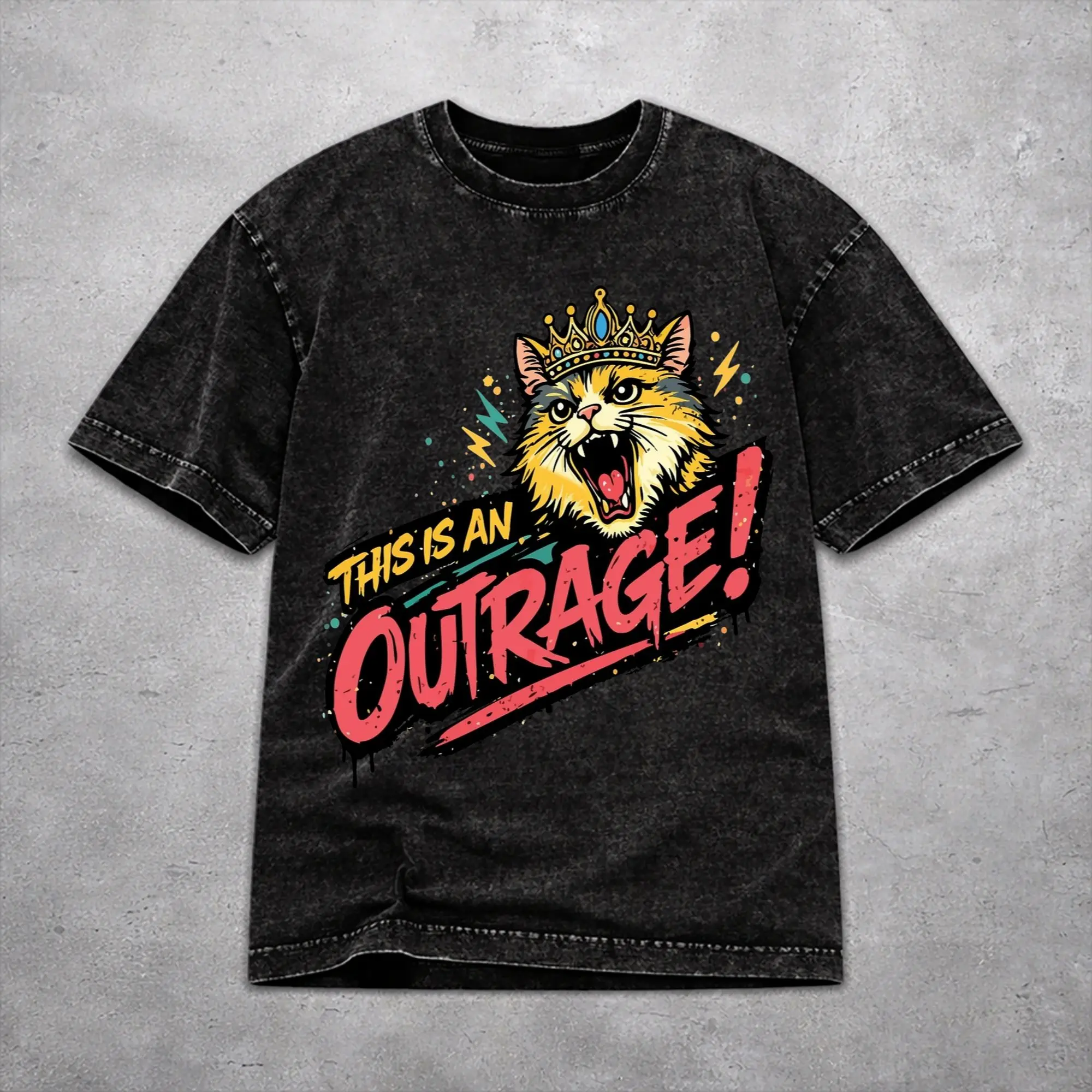 This Is An Outrage Princess Donut Cat  T Shirt Washed Style For Men Women Cotton Tee Shirts Clothing