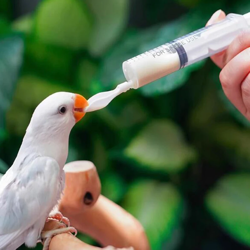 Bird Parrot Feeder Spoon, Baby Bird Milk Medicine Feeding Syringe Bird Soft Feeding Spoon Baby Bird Feeding Tools Kit