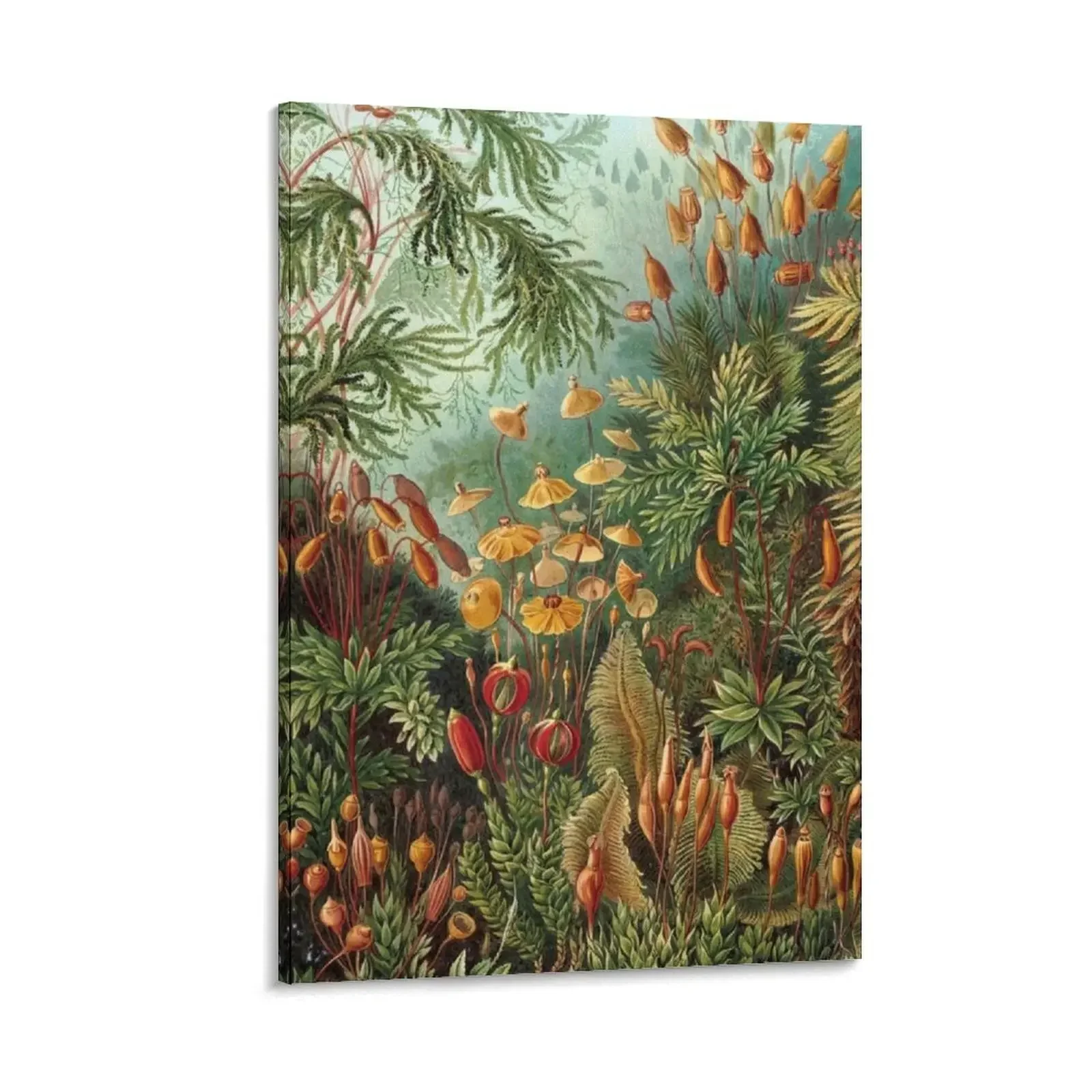 

Vintage Plants Decorative Nature Painting Illustration Artwork Canvas Painting bedroom decor anime posters