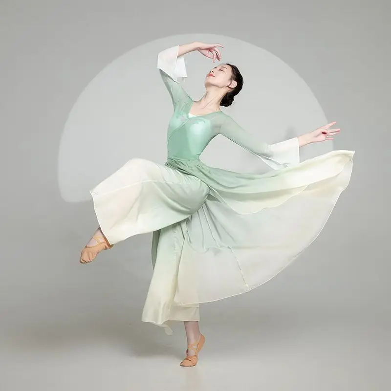 [Eleganza sfumata] Costume da danza classica, Costume da pratica di danza cinese, Costume da ballo, Figura aggraziata da donna, Elastico