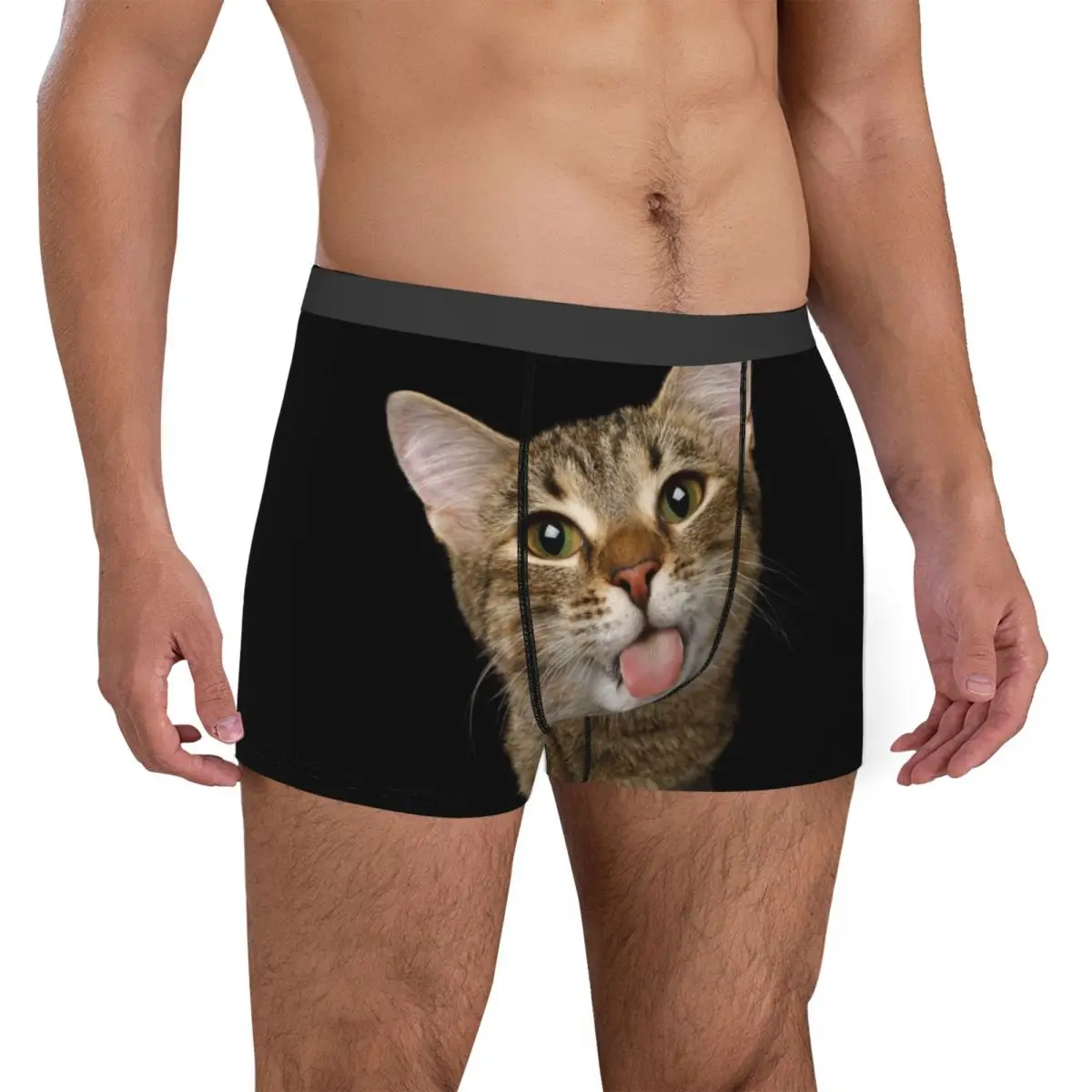 Men Portrait of Domestic Cat Underwear Cute Kittens Printed Boxer Briefs Shorts Panties Male Breathable Underpants Plus Size