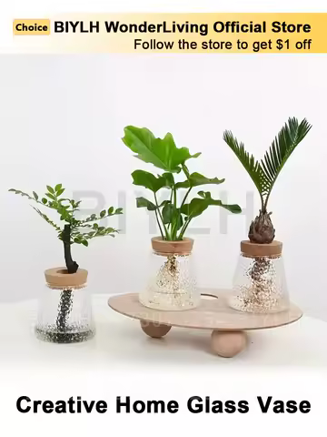 Nordic Glass Hydroponic Vase with Tray - Mini Self-Watering Planter for Tabletop Plants, Simple Home Decor &amp; Gift Idea BIYLH