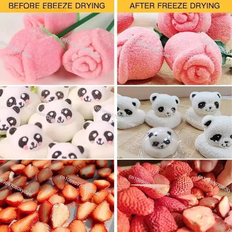 High-quality Food Drying Freeze Dryer Machine Household Oil-free Vacuum Pump Household Freeze Dryer