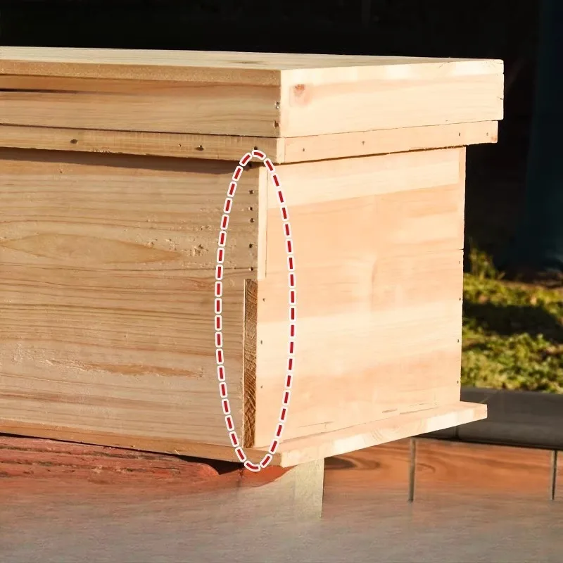Beekeeping Equipment Wedding Rabbit Apiculture Flowing Hive Flowhive Bee Hive Box Bzhіlnitsky Varoa Automatic Bees Material Glue