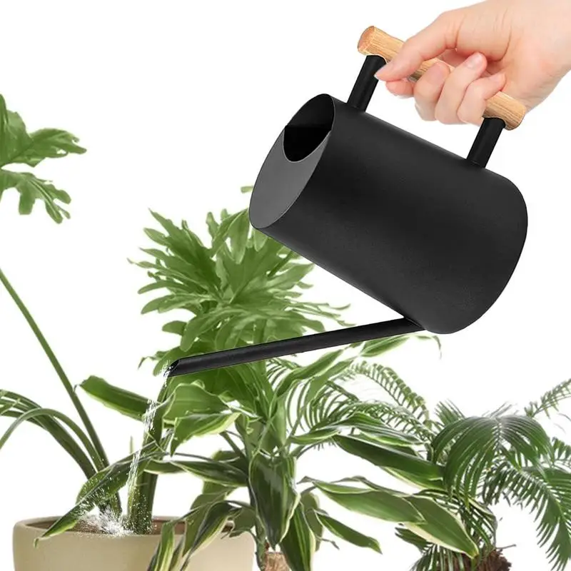 

1L Long Spout Stainless Steel Watering Can Large Capacity Detachable Watering Kettle Indoor Houseplant Watering Can for Flowers