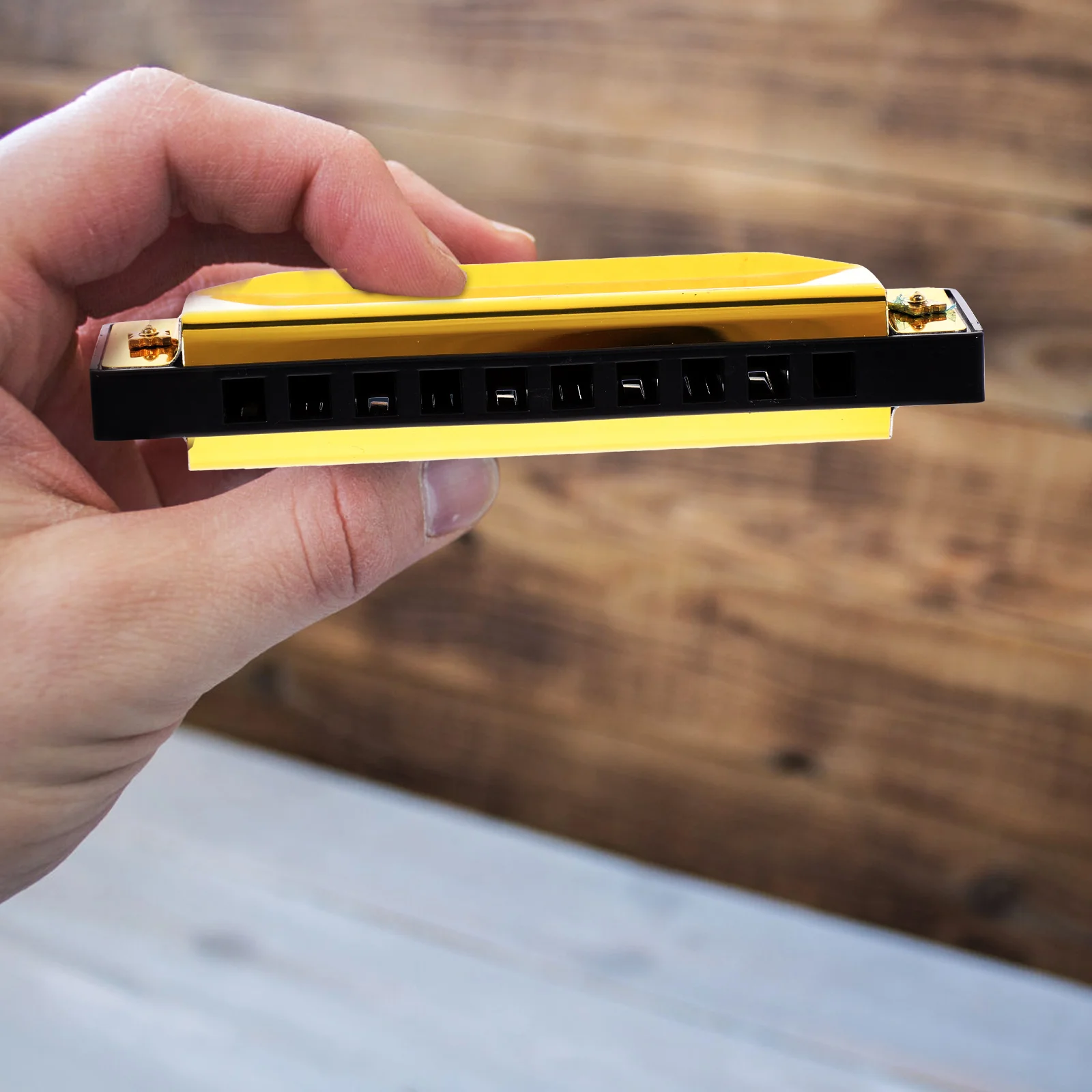 

Ten Hole Harmonica 20 Tones C Key Golden Portable Musical Instrument for Kids Adults Beginner Students Pocket Size Durability