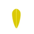 50pcs Drop Yellow