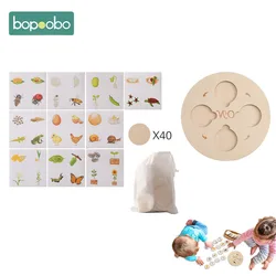 Rompecabezas de madera 3D Montessori colorido para niños, Kit de rompecabezas de ciclo de vida, partido para niños, entrenamiento cognitivo, educativo, aprender, regalos