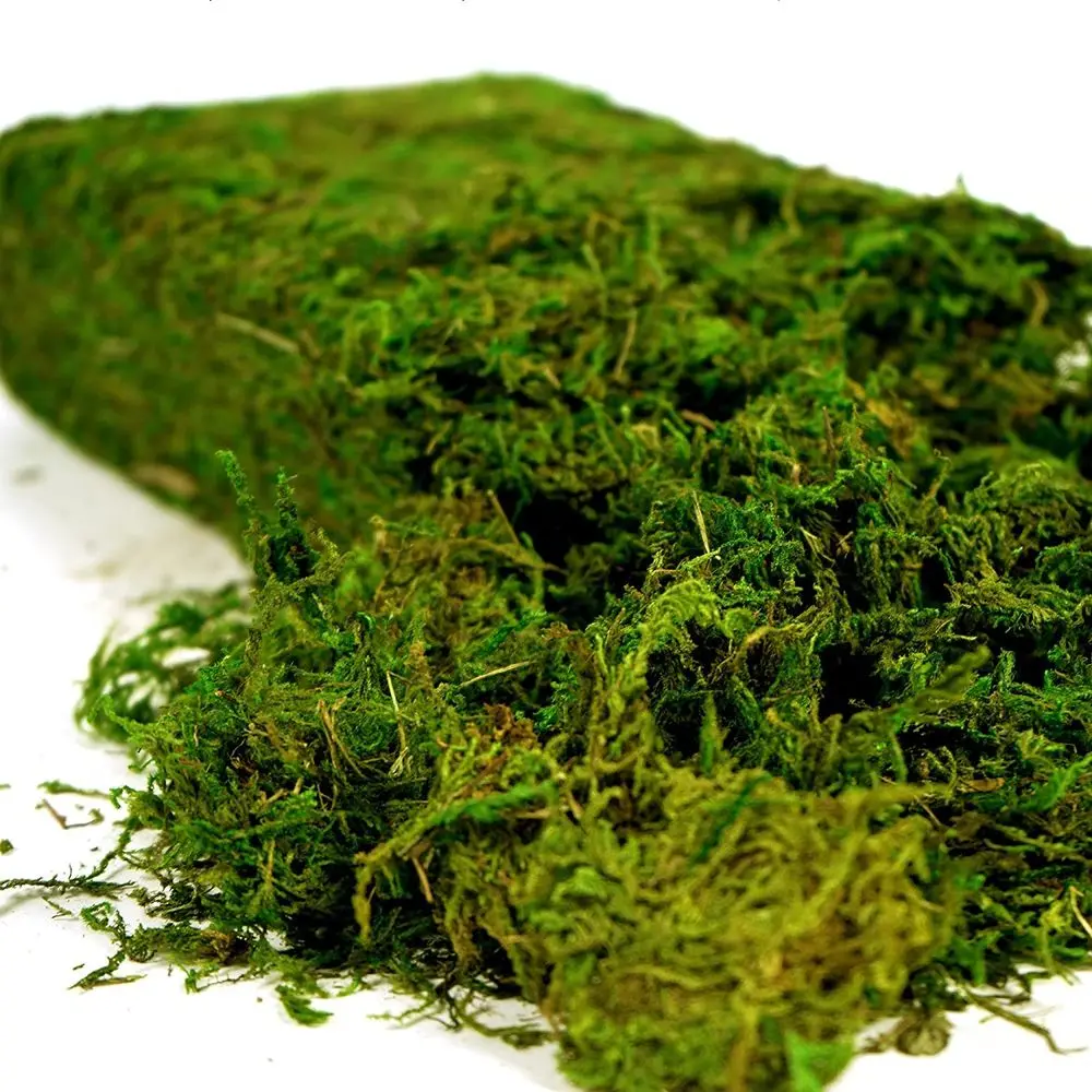

Искусственный мох Moss 16 унций (455 г) для поделок, сказочных садов, свадебного и праздничного декора, центральных композиций и растений в горшках, свежий зеленый цвет.