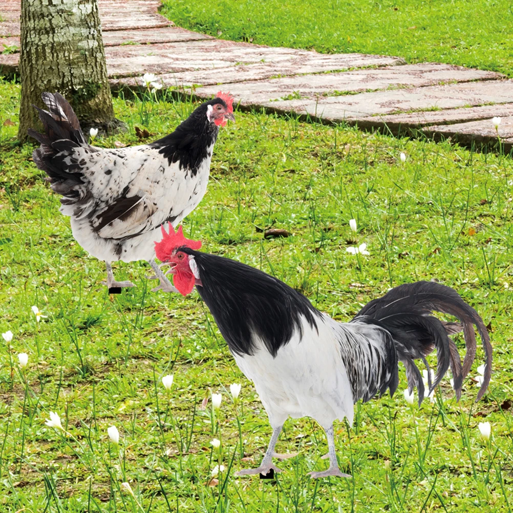 

2 Pcs Three-dimensional Outdoor Decoration Acrylic Garden Stakes Art Chicken Sign