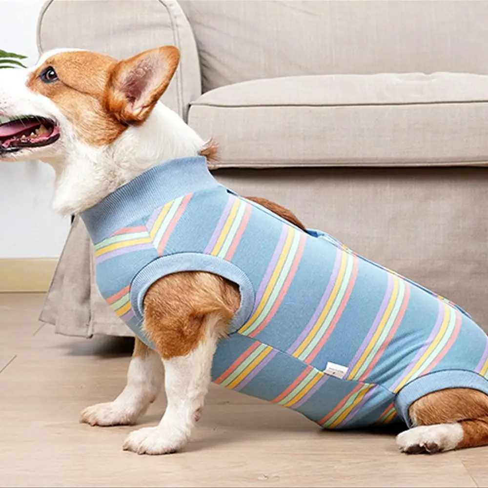 

Breathable Dog Surgery Recovery Suit Soft Warm Thickened Postoperative Clothes Comfortable Bite Protective Outfit Home Recovery