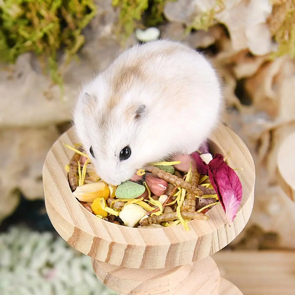 

Small Pet Round Food Bowl Anti-turning Natural Wooden Feeding Bowl Landscaping Supplies For Squirrel Hedgehog Hamster