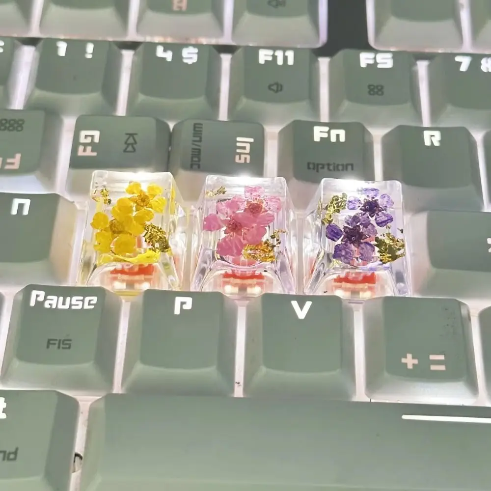 Translucent Dried Flower Keycaps Gypsophila Dried Flower Mechanical Keyboard Keycap Decoration OEM R4 Resin Keycap Cherry MX