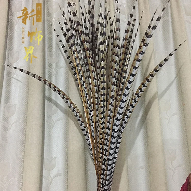 plumas-naturais-de-faisao-selvagem-para-decoracao-de-palco-e-aderecos-60-175cm-acessorios-de-moda-diy-novidade-e-lancamento