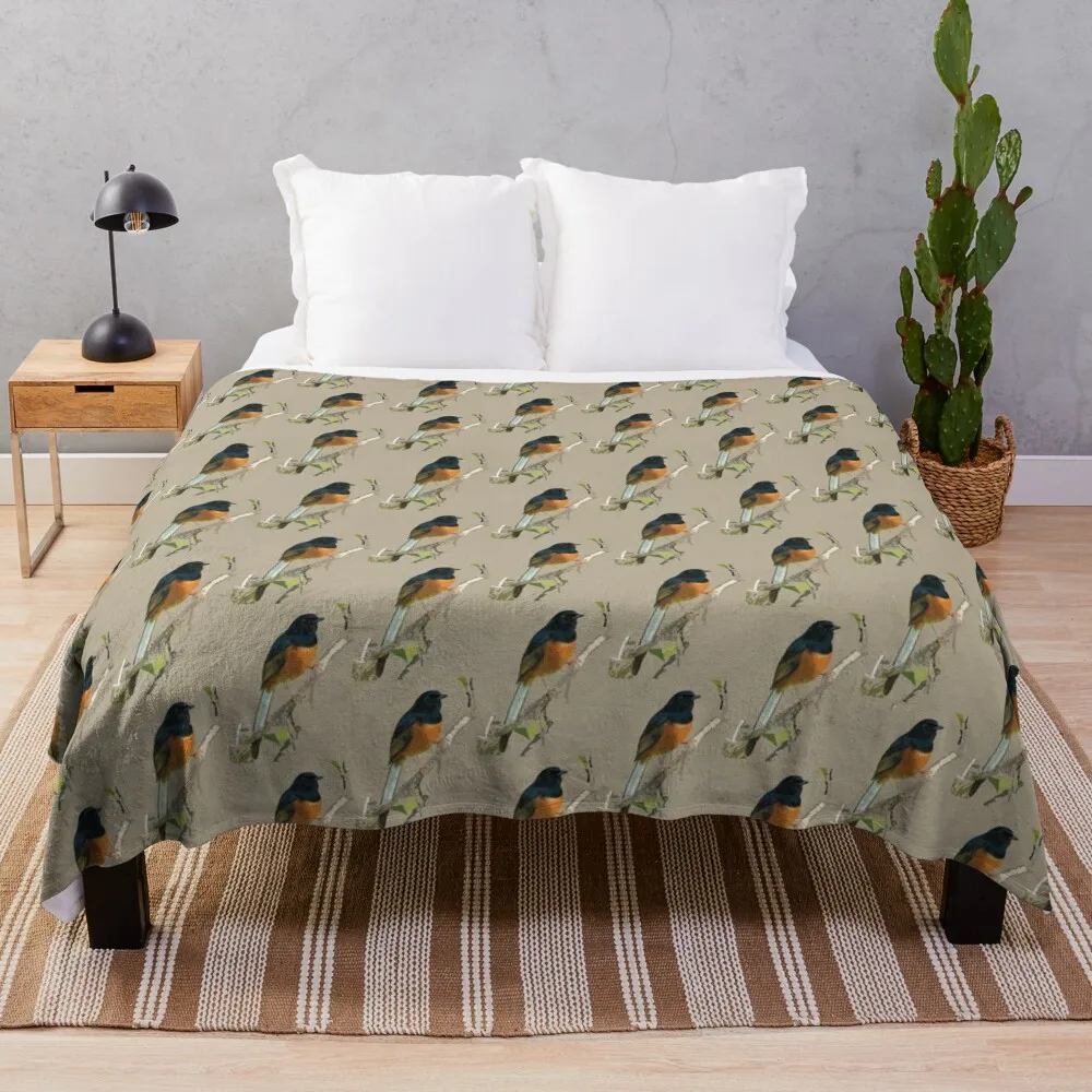 Beautiful White-rumped Shama Thrush, Bird Throw Blanket Quilt Decorative Beds Blankets