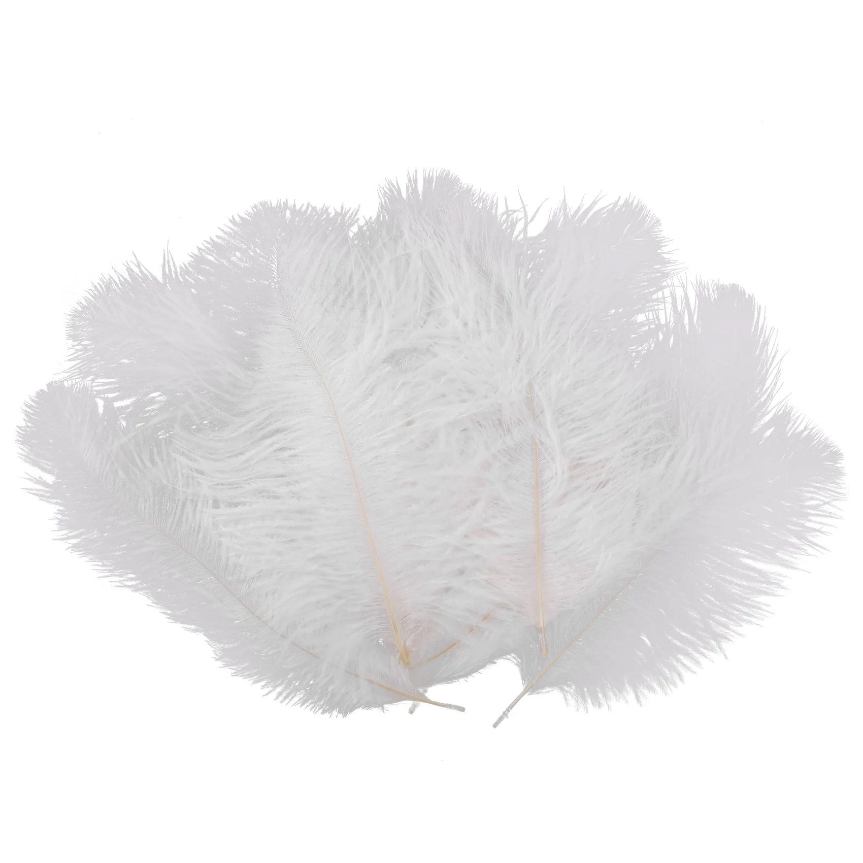 10 Pieces White Natural Ostrich 20-25cm Wedding DIY