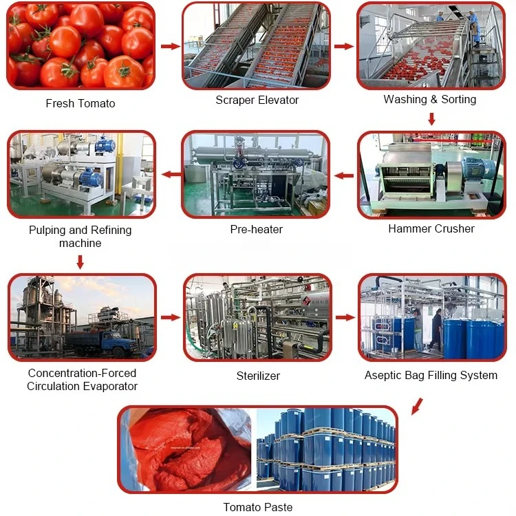 FOODLINE Central Kitchen Tomato Pulper Anti Scratch Outer Frame Overheat Protection Food Processing Device