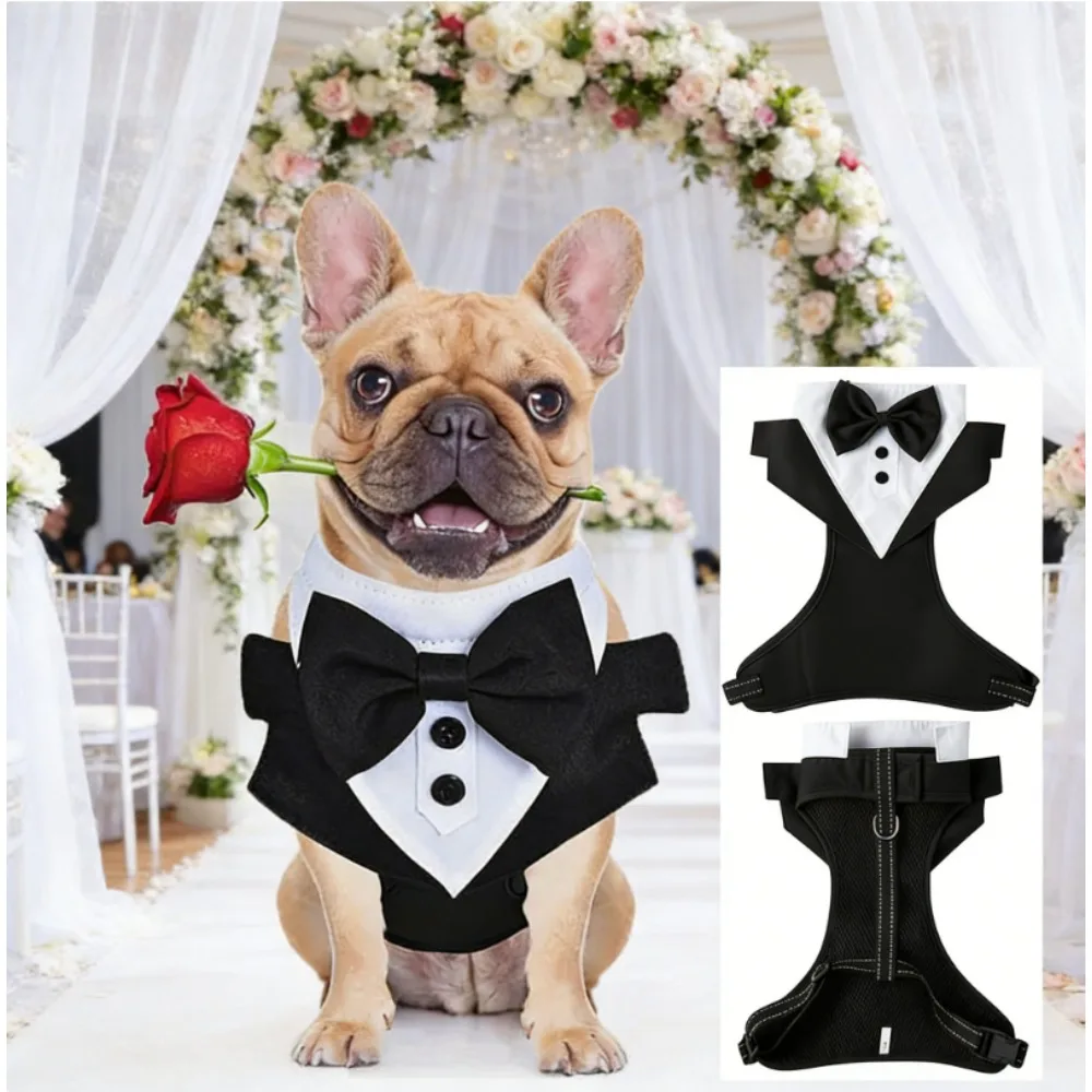 

Жилет-шлейка для собак с поводком, защита от побега, безрукавный костюм для маленьких, средних и крупных собак, удобный, регулируемый