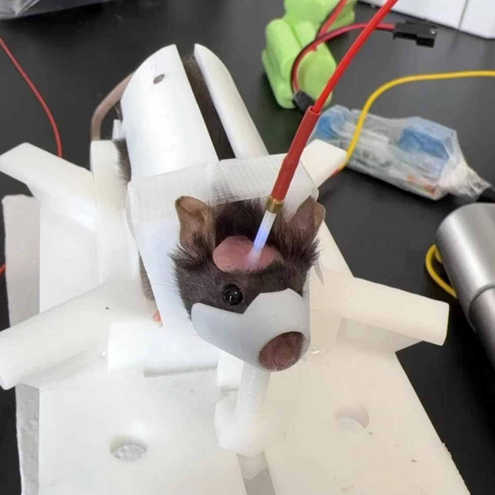 dispositivo-de-sujecion-para-micromouse-de-nuevo-diseno-soporte-de-fijacion-de-laboratorio-de-0-40-g-para-experimentos-de-administracion-de-drogas-y-retencion