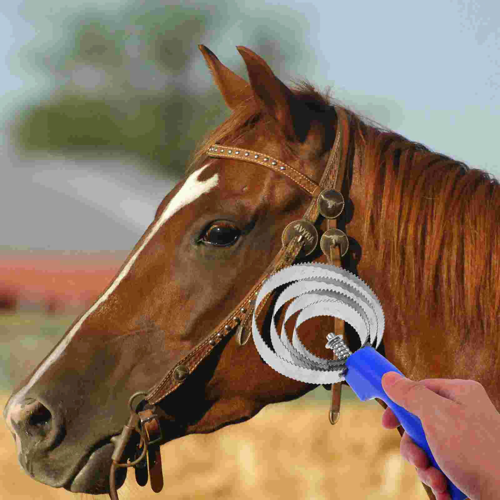 2 Pcs Stainless Steel Bridegroom Horse Grooming Comb Plastic Livestock Hair Brush