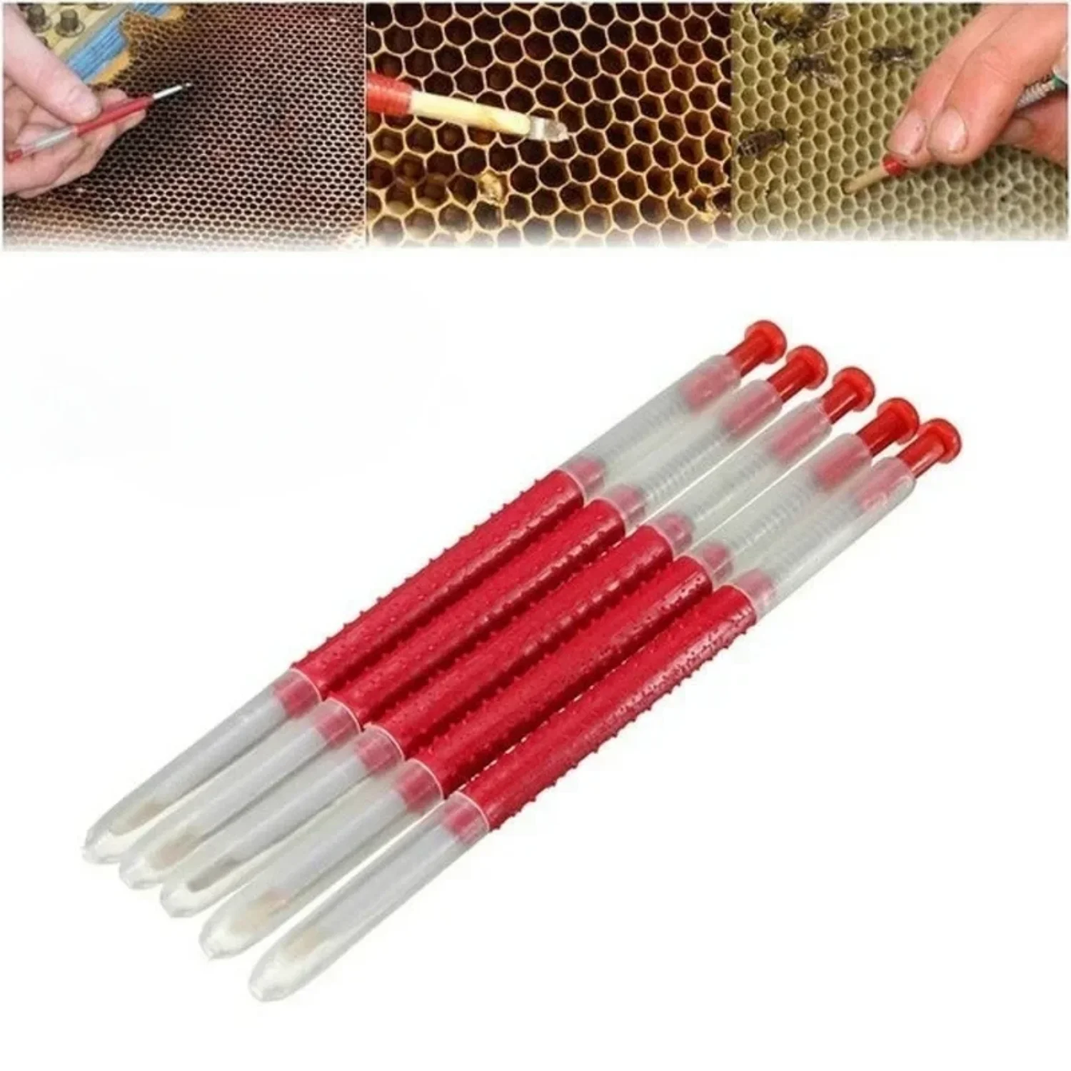 1/5-pack Queen Bee Grafting Breeding Tools Beekeeping Equipment Supplies Beekeeping Materials