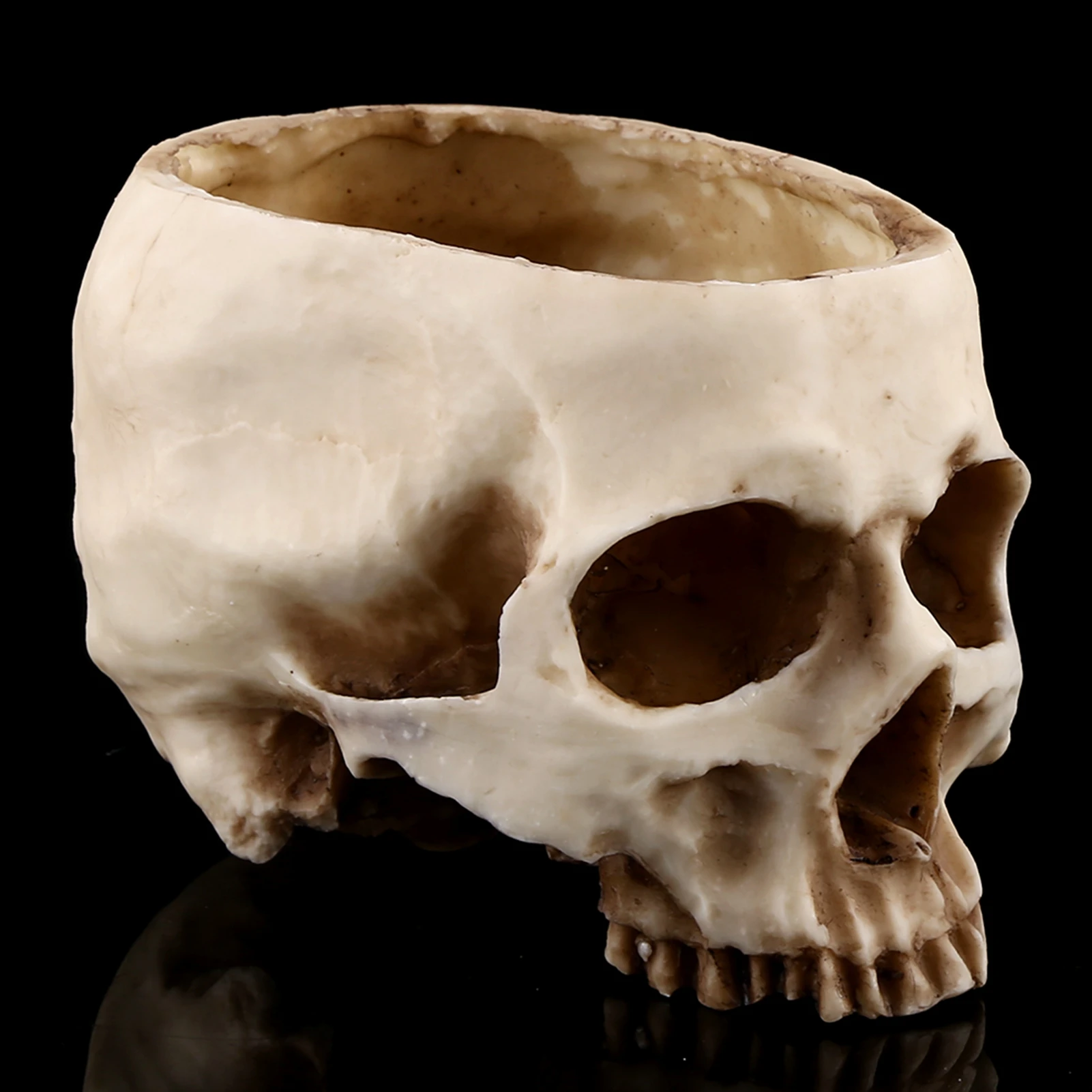 Resin Skull Head Design Flower Pot Planter Container Decoration Skull Container Skull Pot Skull Flowerpot Skull Plant Pot