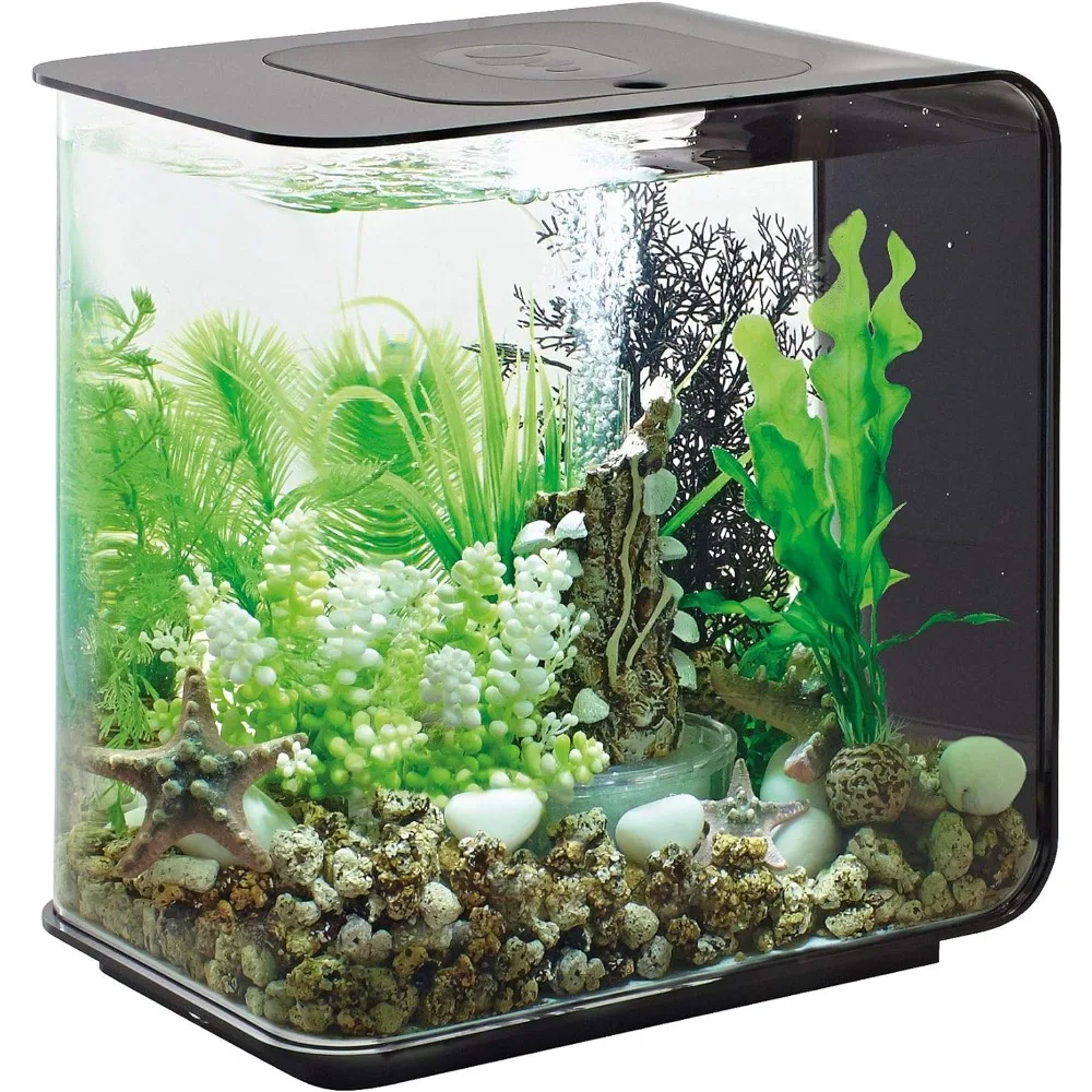 

White LED Lights Aquarium for Fish, Modern Compact Tank, Tabletop or Desktop Display, Free Shipping, 4-Gallon Aquarium