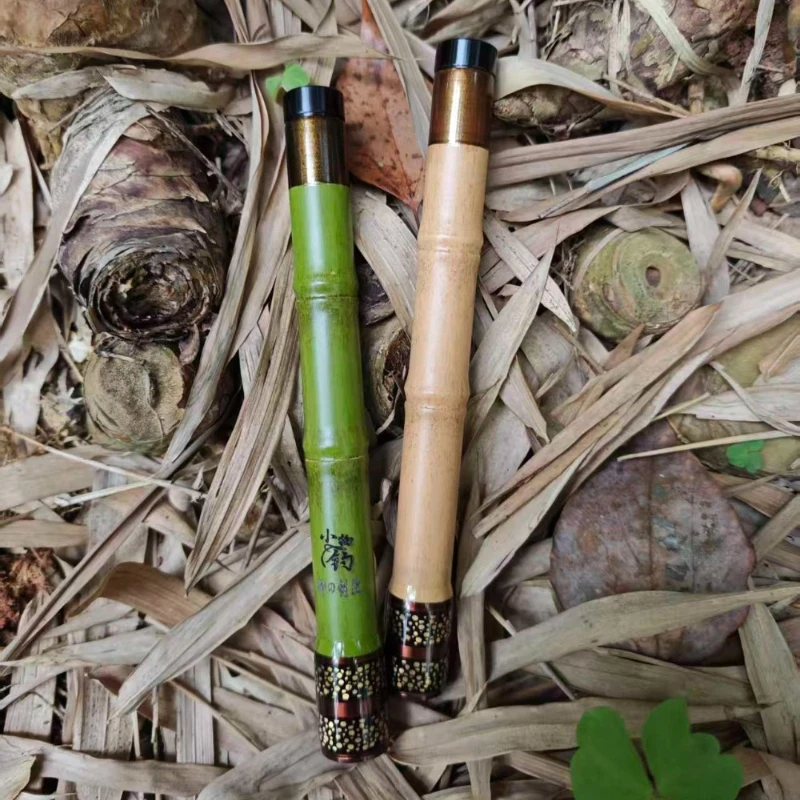 

Ultralight Portable Short Section Fishing Rod forStream & Small Fish, Travel Fishing Rod
