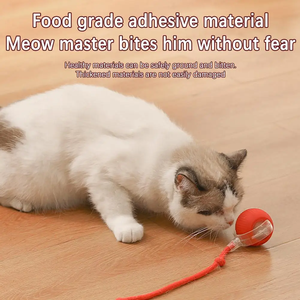 Interactive Cat Toys Wheel Rolling Ball for Cats Electric Indoor Motion Activate Cat Toys Type-C Rechargeable Stimulate Hunting