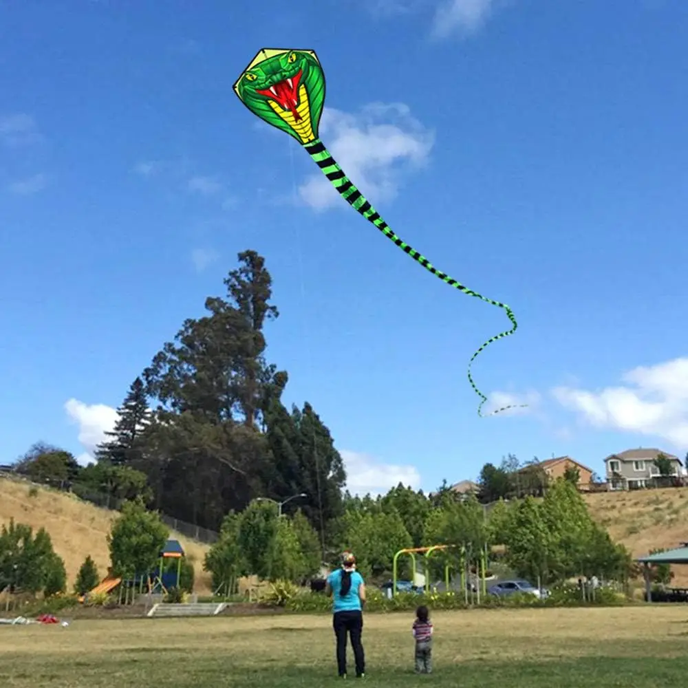 Outdoor Fun Sport Strong Snake With Long Colorful Tail Huge Beginner Snake Kites For Adults Come With String And Handle