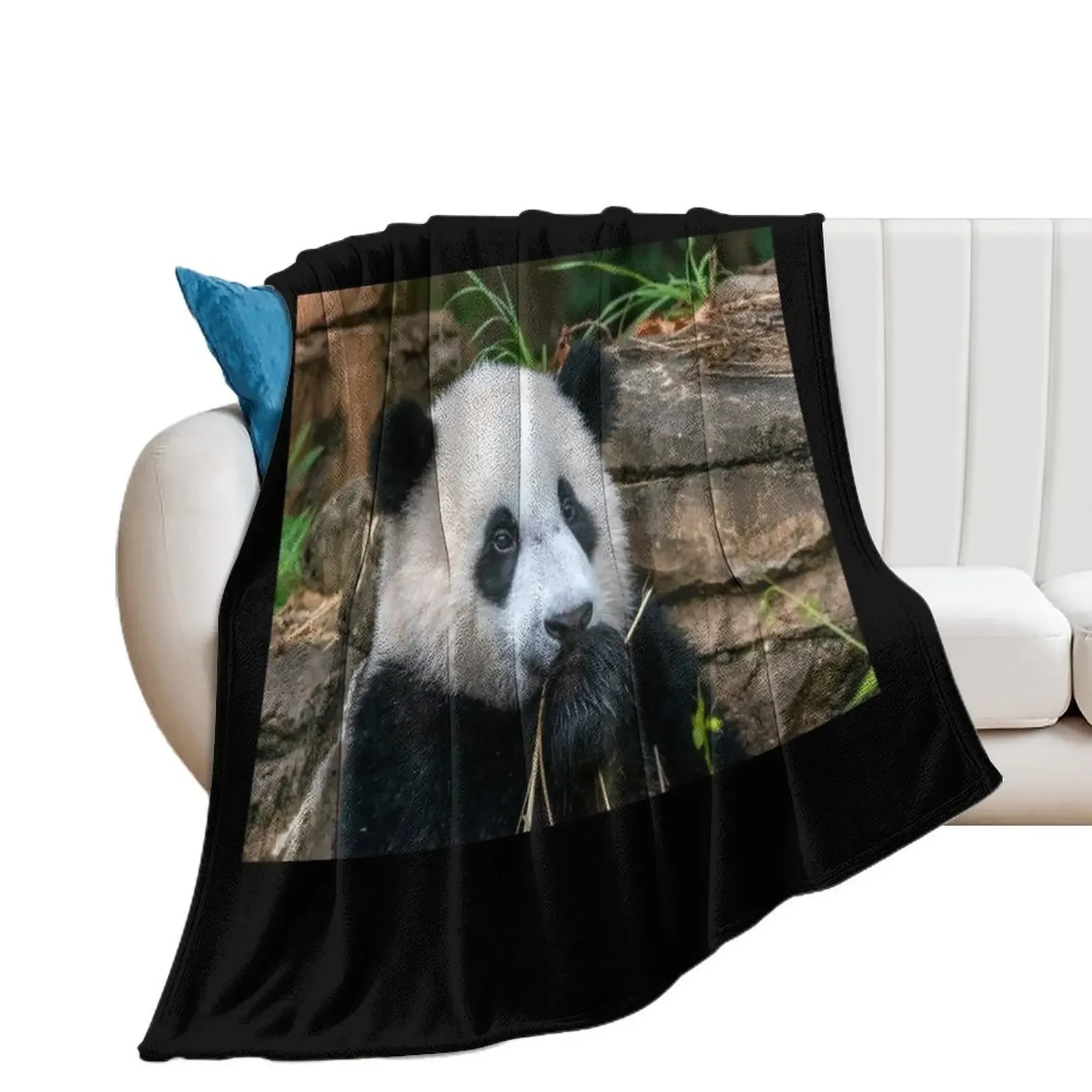 

Giant Panda Xiao Qi Ji at the National Zoo Throw Blanket Soft Plush Plaid sofa bed Blankets