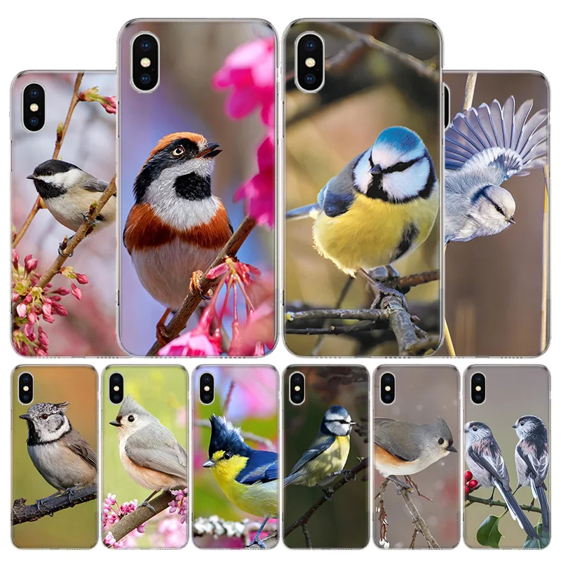 Magpie bird Phone Case For Apple iPhone 11 12 13 14 15 16 Pro Max 7 X XS 8 Plus + Mini SE Customized Print Soft Cover For Apple 