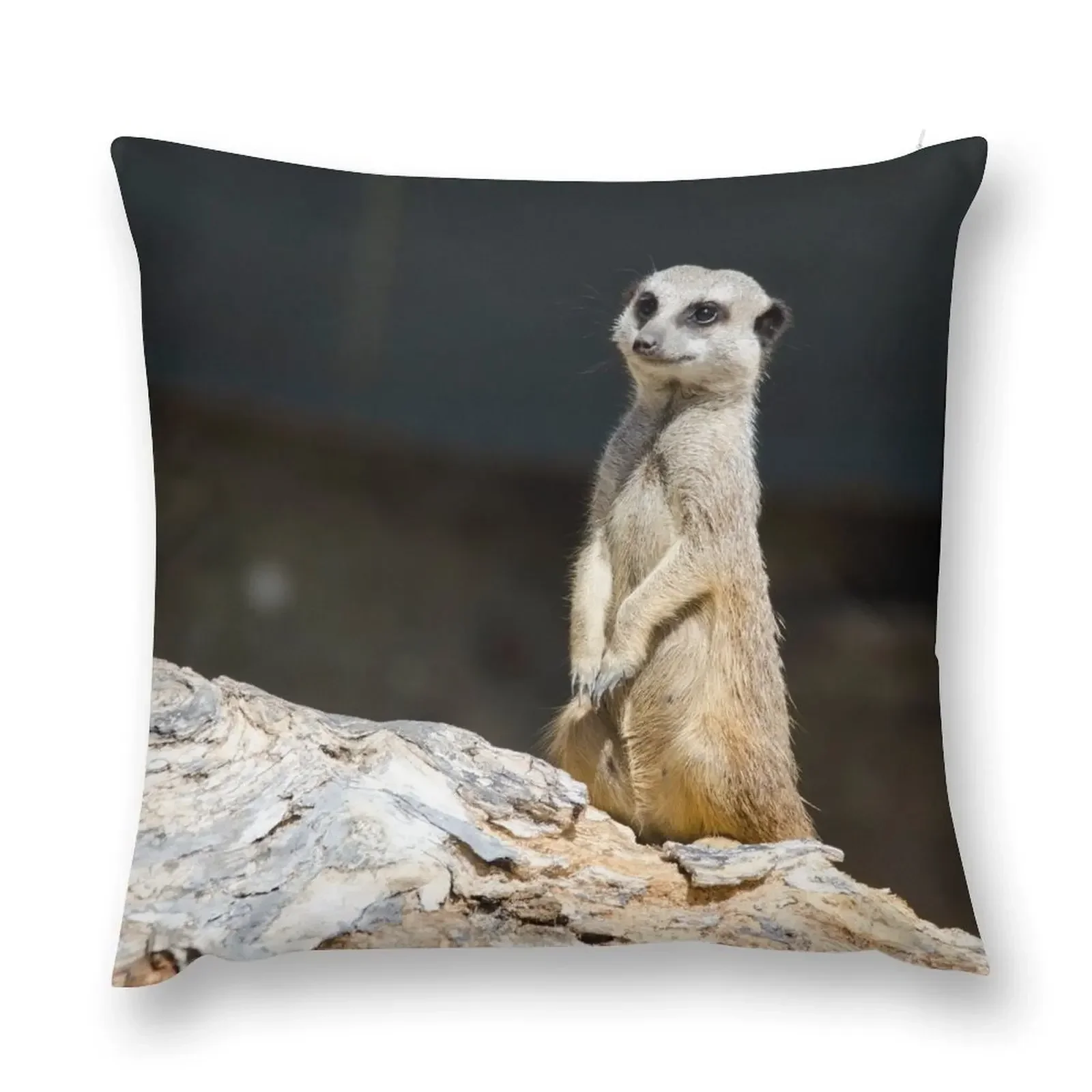 

Meerkat on Lookout Throw Pillow Decorative pillow case Custom Cushion Photo Christmas Pillowcase pillow