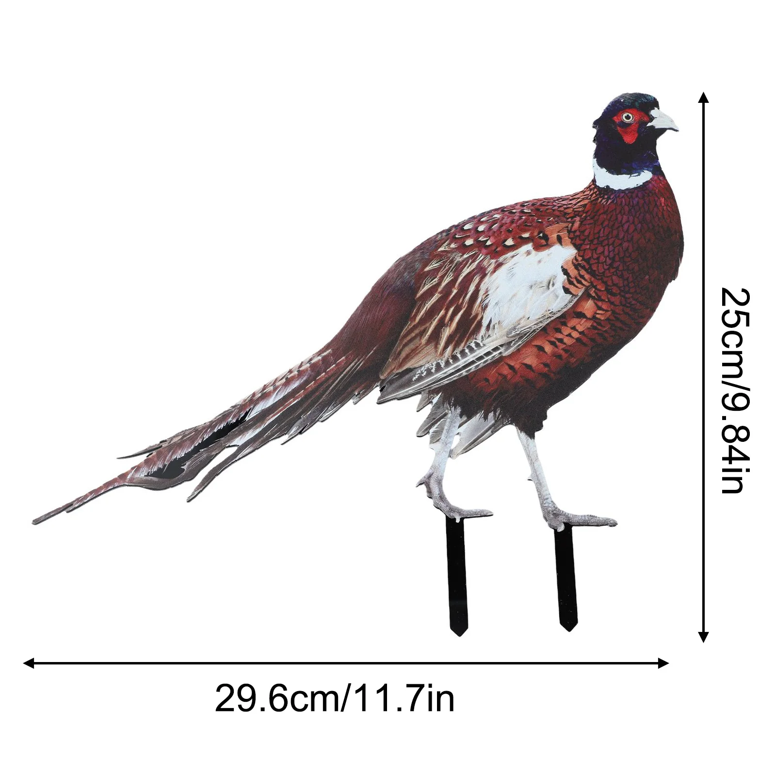 Pheasant Garden Ornament Lawn Figurine Rooster Decor Simulation Chicken 2pcs for acrylic For Outdoor Party Decoration