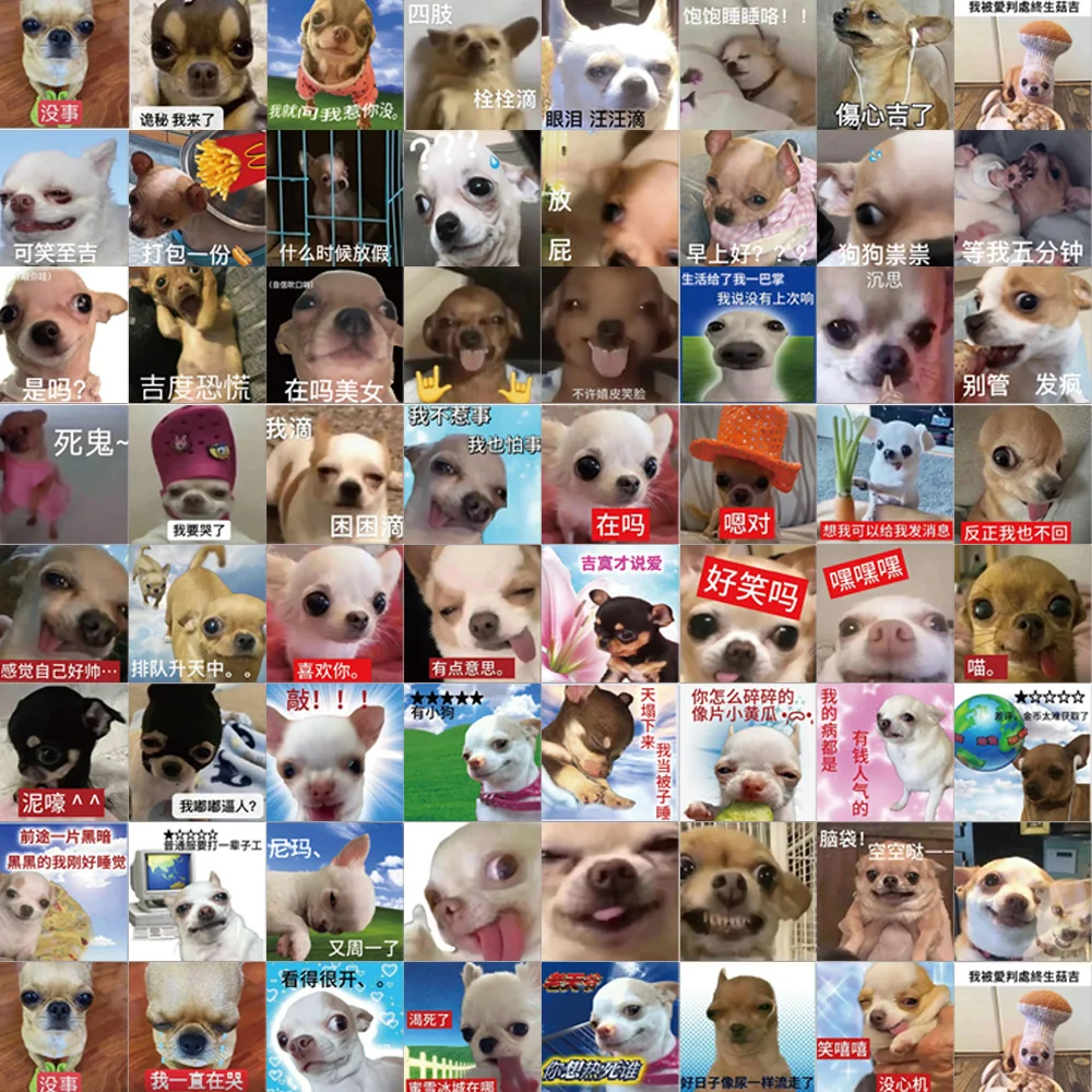 62PCS Cartoon Cute and Funny Chihuahua Internet Celebrity Graffiti Stickers DIY Handmade Label Scroll Notebook Tablet Stickers