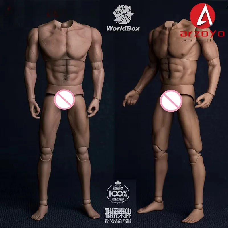 

WorldBox AT017 1/6 Wide Shoulders Muscular Male Action Figure without Neck 12" Soldier Super Flexible Body