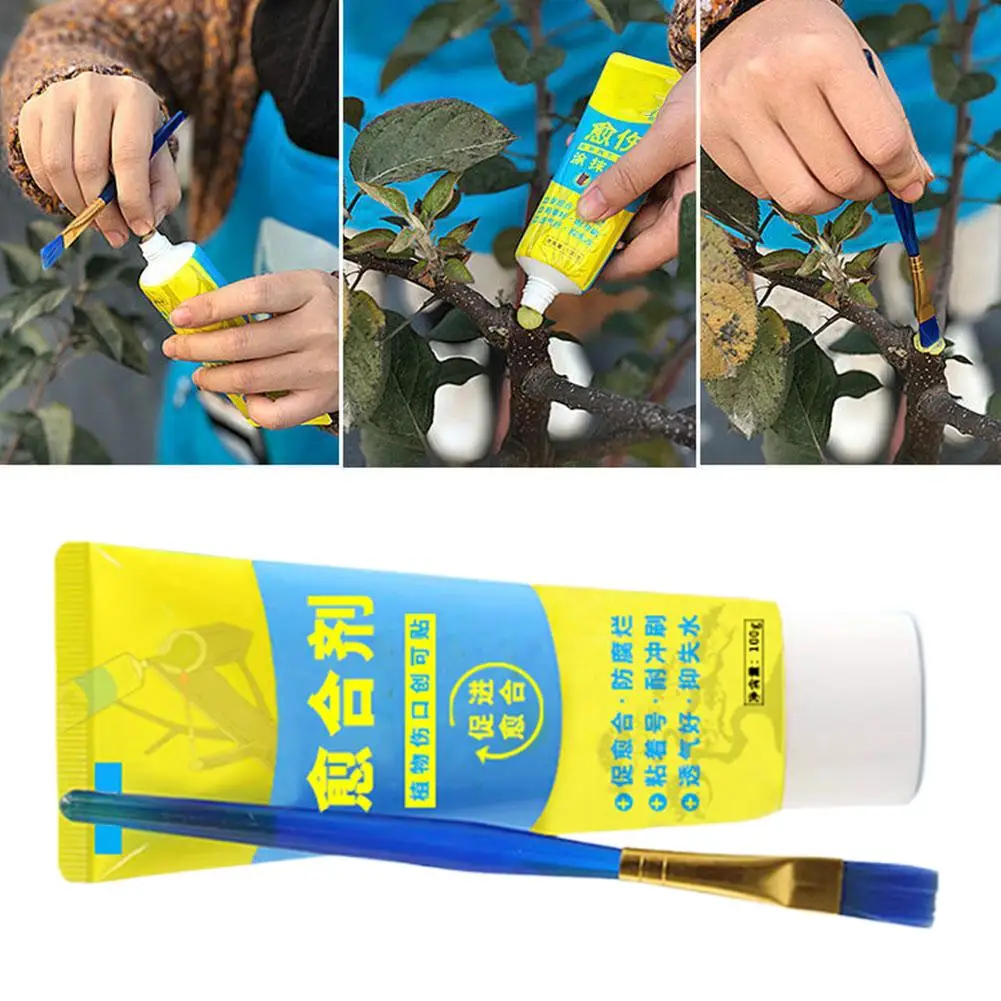 Preto enxertia árvore aferidor árvore ferida bonsai corte pasta planta restaurar recrescimento selante esfregaço agente proteção pasta de jardinagem