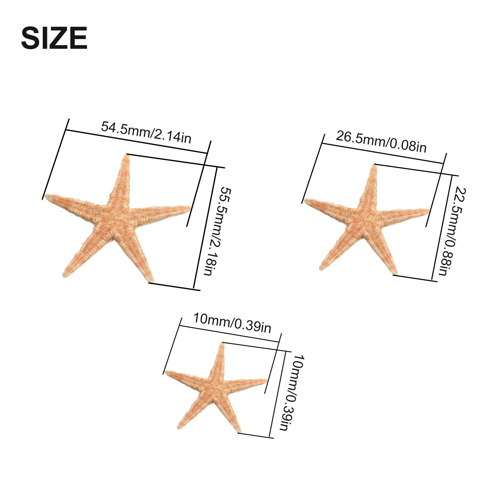 20/50/100pcs Starfish Seashell Practical Mixed Starfish Seashell Natural Mixed Reusable Realistic White Star Fish Tank Decor