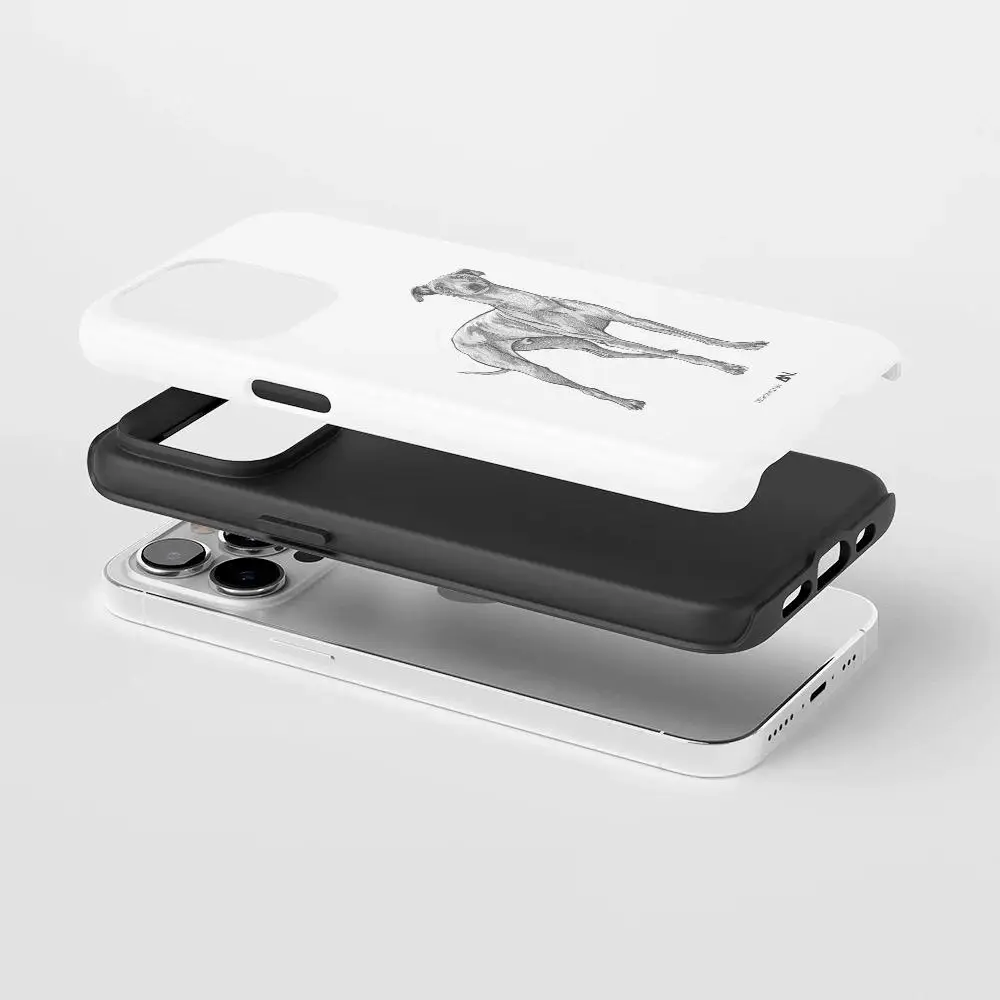 Colorful Marine Organism Phone Case For Samsung S25 24 FE 23 22 21 Ultra Plus A 56 36 26 16 Glossy Film Hard PC Coque