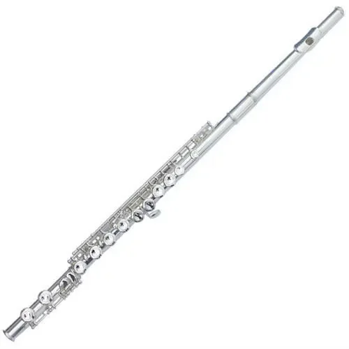 Student Flute cheap price manufacturer