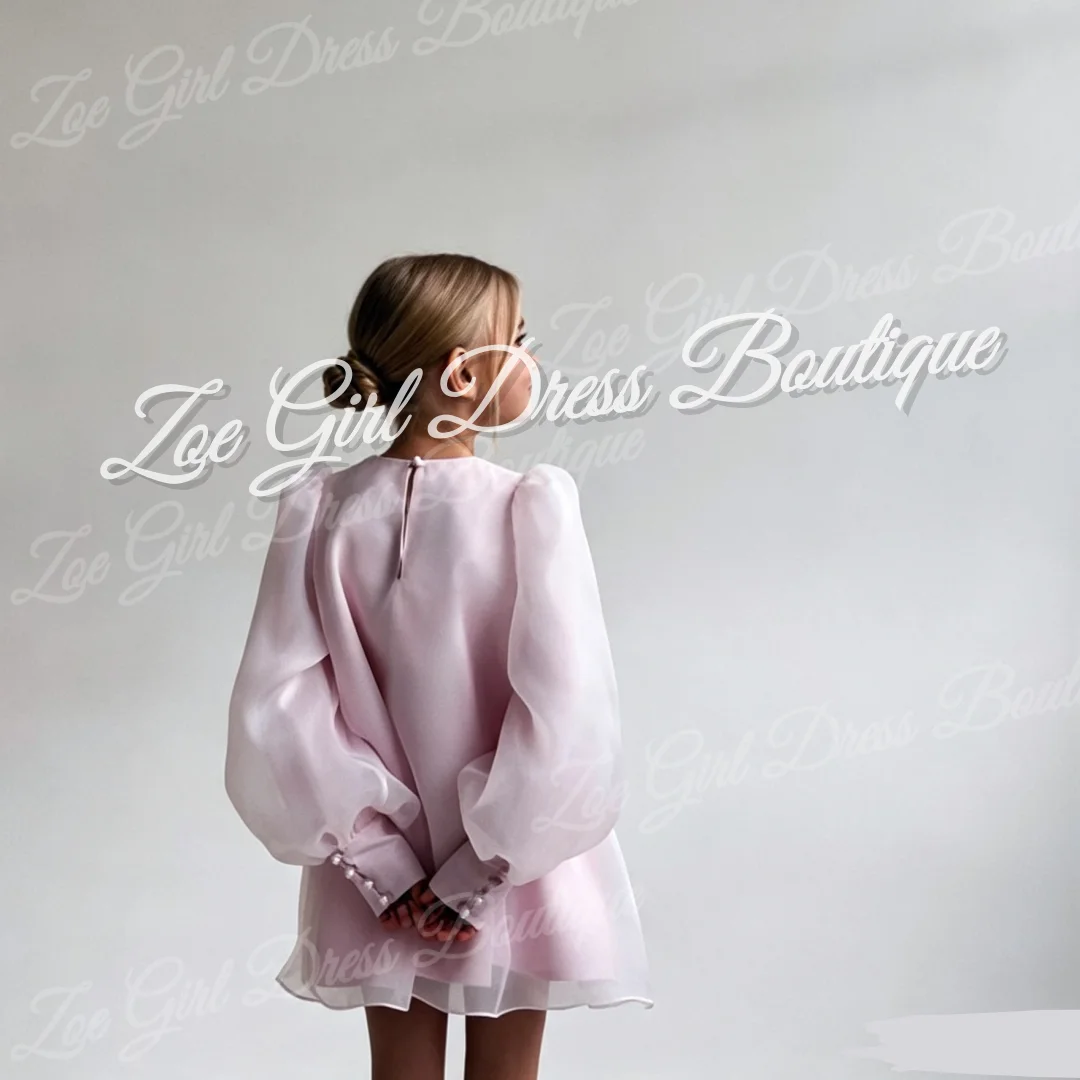 Round Neck Puff Long Sleeve A-Line Flower Girls Dresses for Kids Birthday Party Photoshoot Wedding Gowns Customized