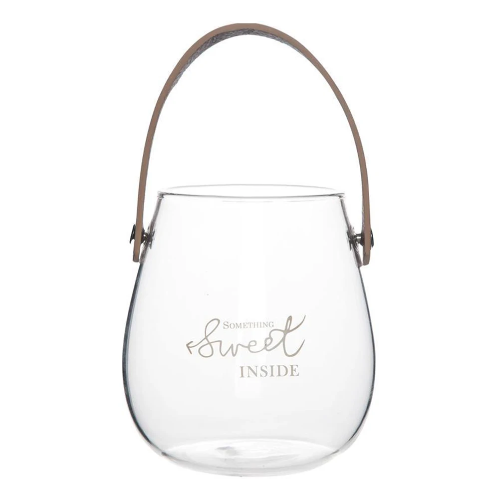 

1Pcs Exquisite Glass Flower Vase with Handle Simple Design Household Storage Jar for Plants Fruits Decoration