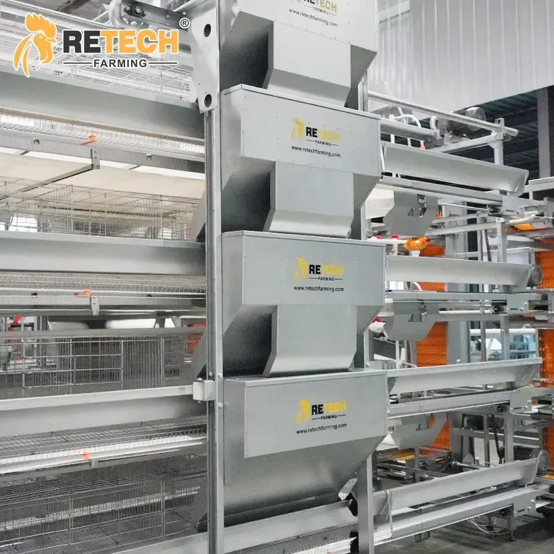 

Automatic H Type Poultry Cages for Layer Chickens for 50000 Birds